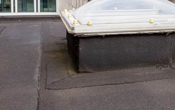 disadvantages of Dilhorne flat roofs
