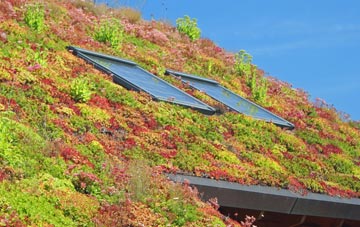 Dilhorne living roof systems