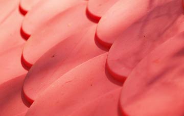 Dilhorne plastic roof costs