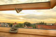 rated Dilhorne roof window companies